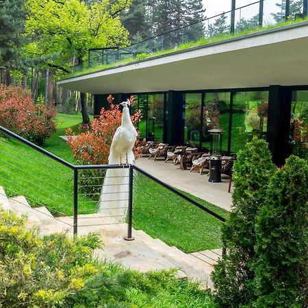 Bioli Wellness Resort Kojori Екстериор снимка