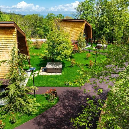 Bioli Wellness Resort Kojori Екстериор снимка